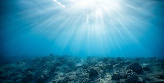 sea