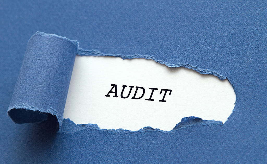 audit